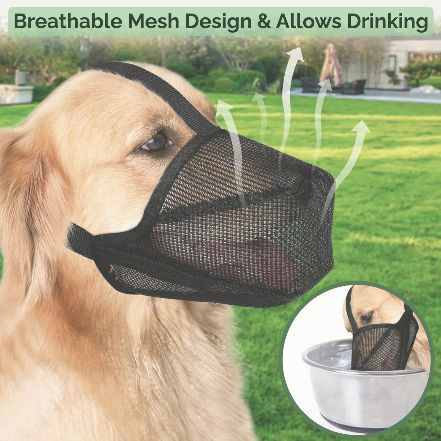 AirMesh Maulkorb – Weich und Bequem für Hunde