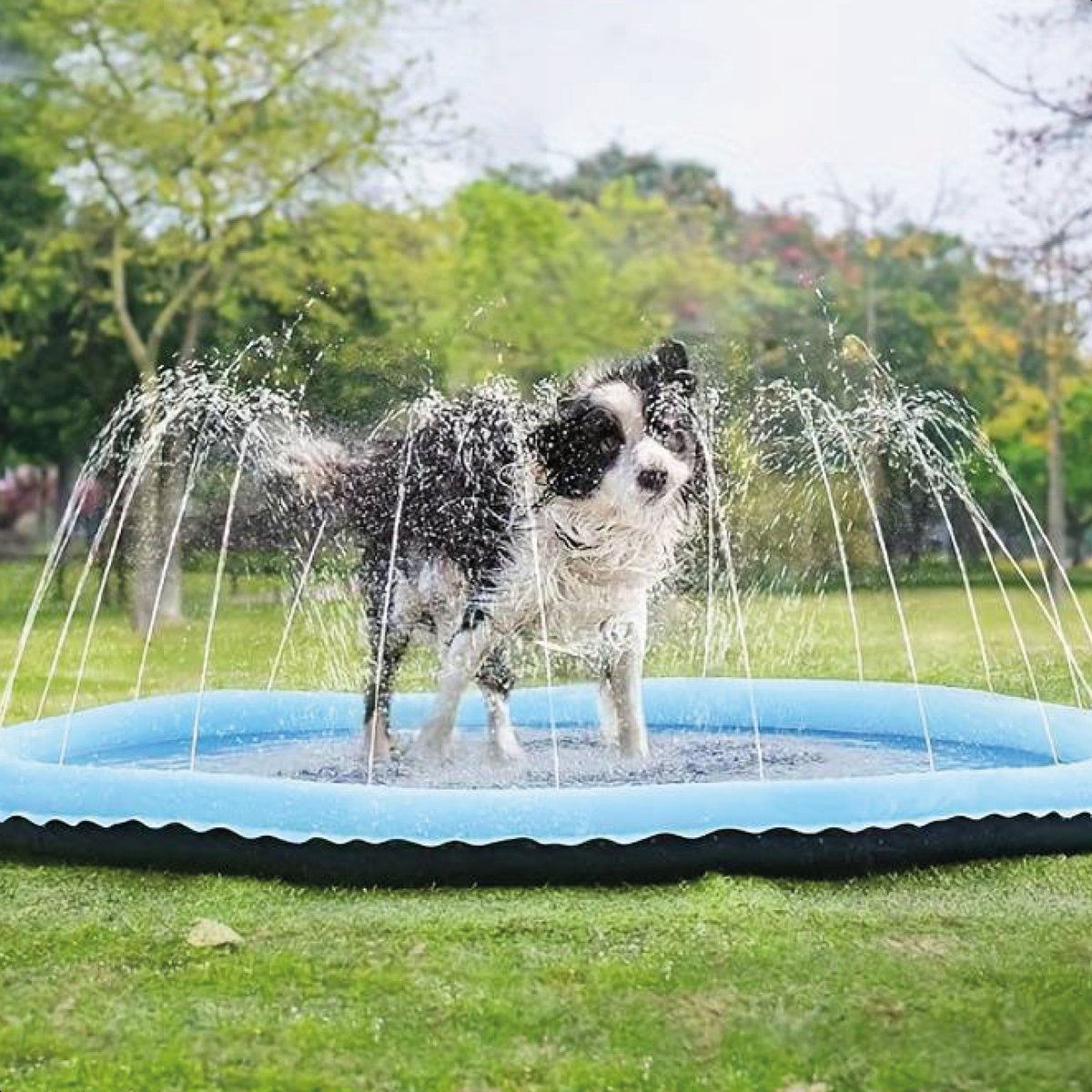 Hunde Wasser Spritzpad – Erfrischende Spielmatte mit Brunnen