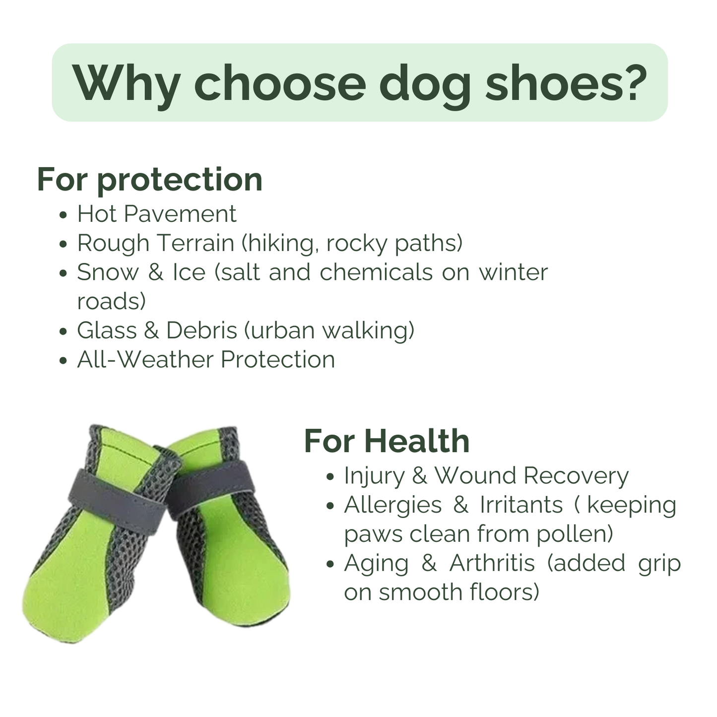 PawGuard Hundeschuhe – Komfortabler Schutz für jede Jahreszeit