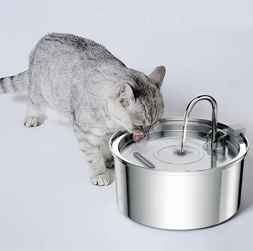 Edelstahl Trinkbrunnen für Katzen – Leise und Hygienisch Hydratationskomfort