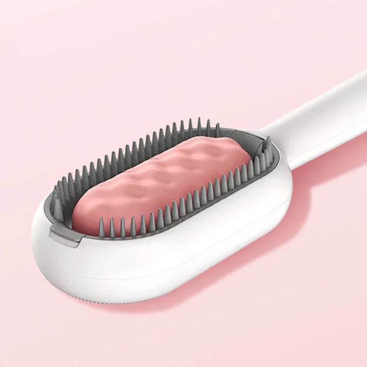 Multifunktionale Fussel- und Haarbürste