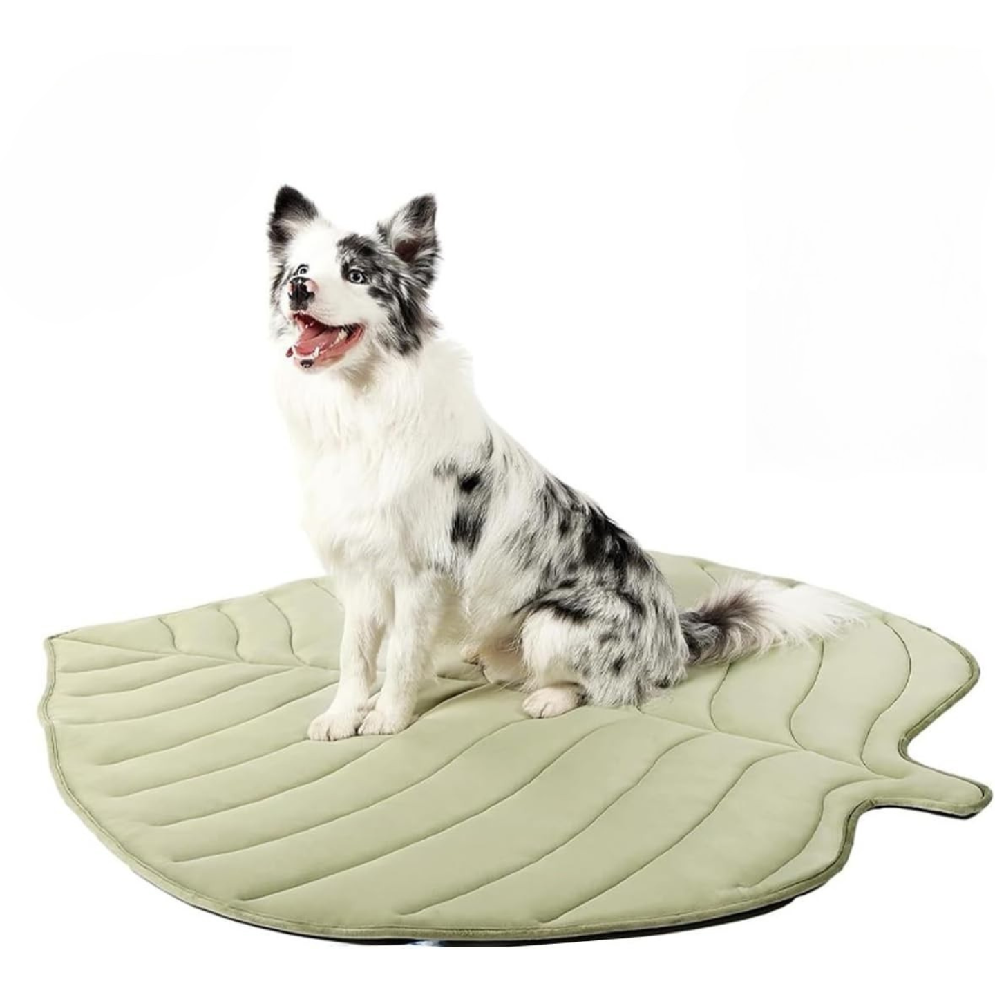 Kühlmatte für Hunde – Erfrischendes Blattdesign mit sicherem Kühlgel
