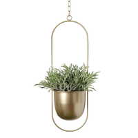 Gold Oval