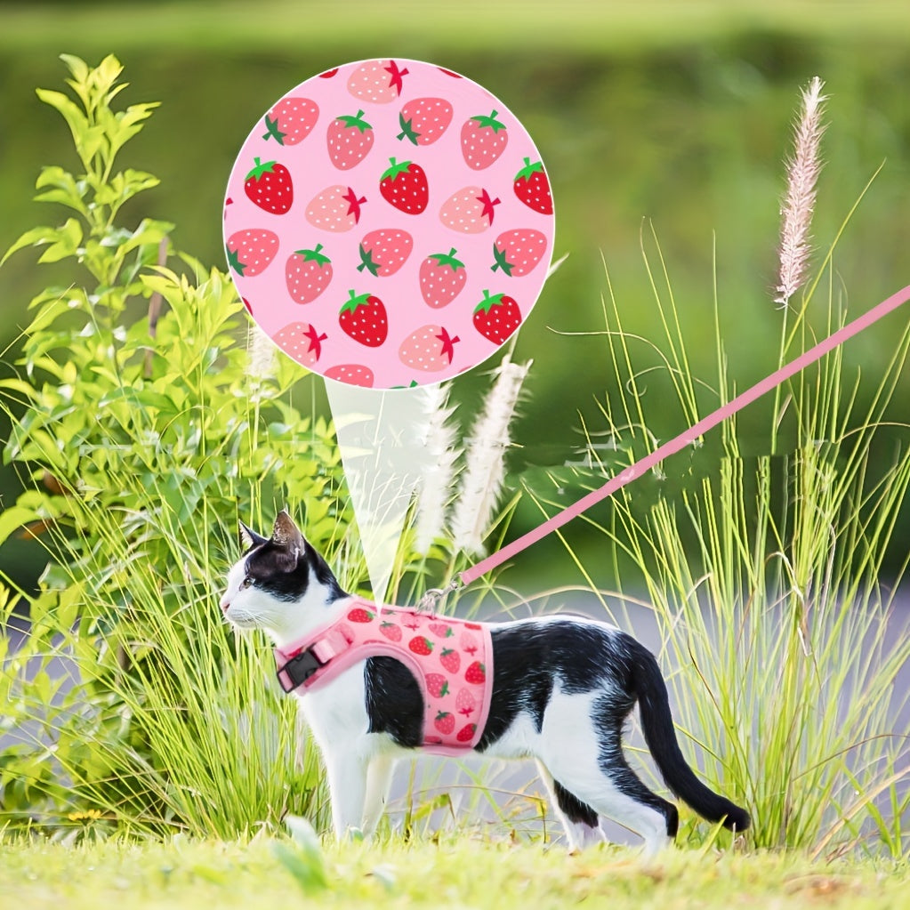 KittyComfort Geschirr Set – Für gemütliche Spaziergänge und Abenteuer