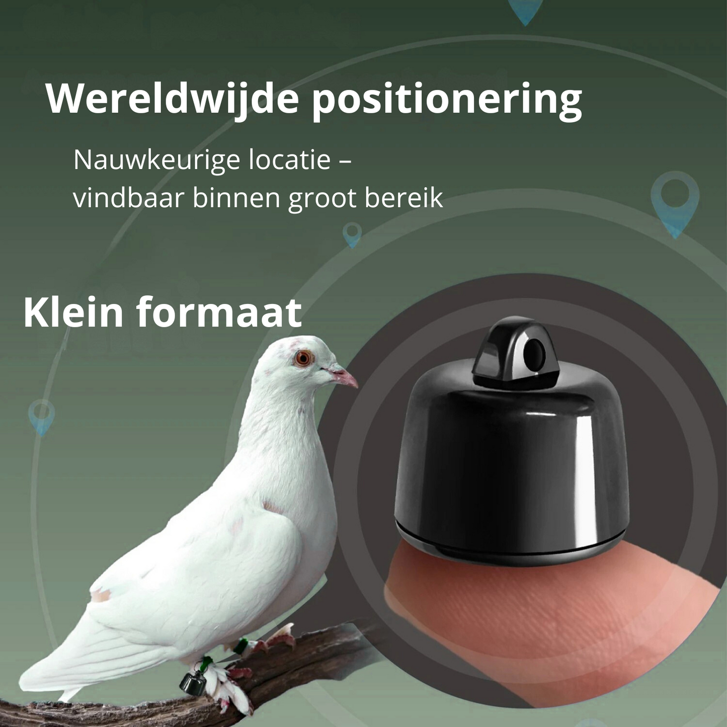PetTrace Mini Tracker – Bluetooth-Ortungsgerät für Katzen, Hunde und kleine Haustiere
