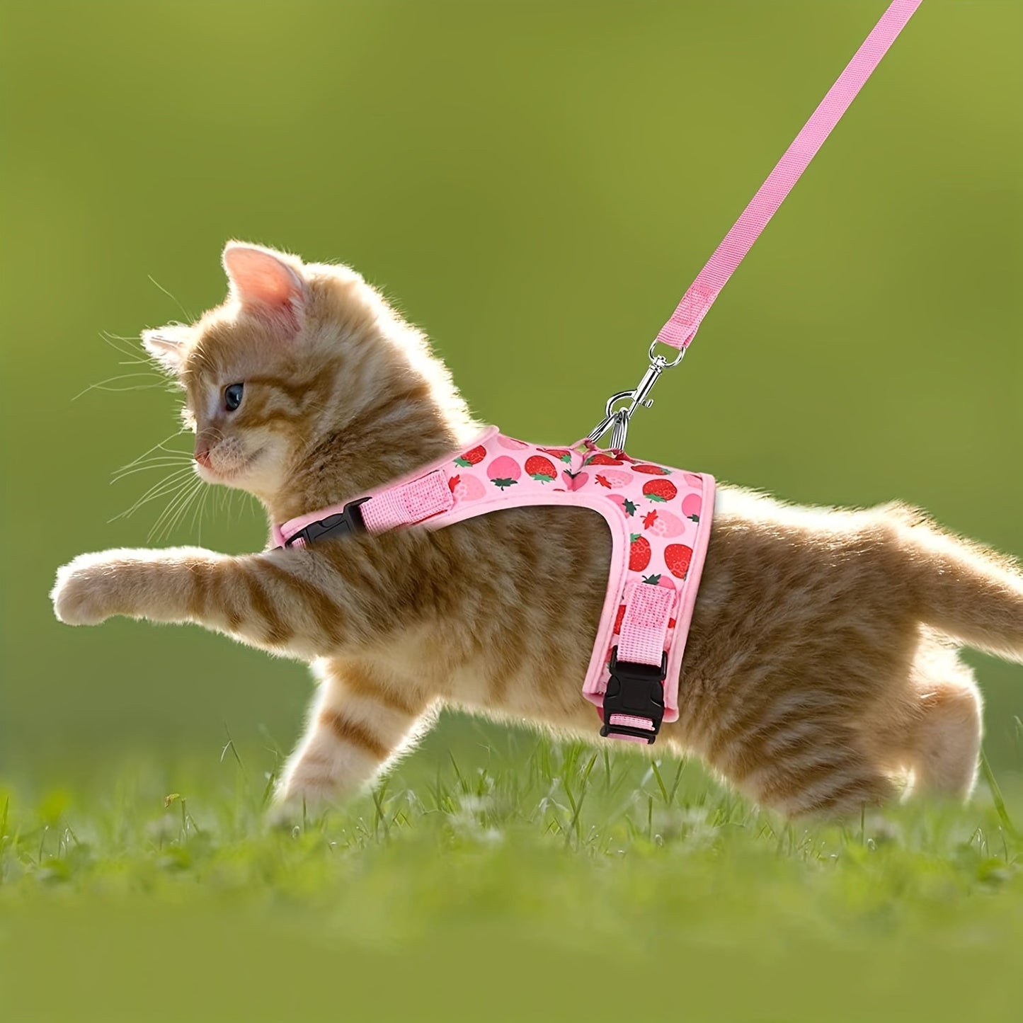 KittyComfort Geschirr Set – Für gemütliche Spaziergänge und Abenteuer
