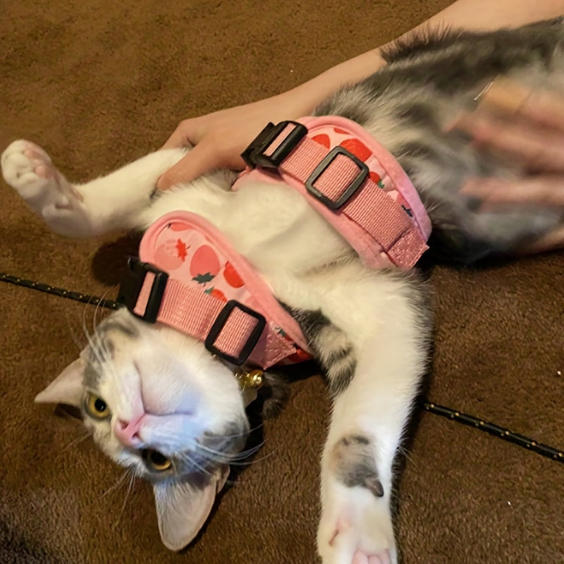 KittyComfort Geschirr Set – Für gemütliche Spaziergänge und Abenteuer