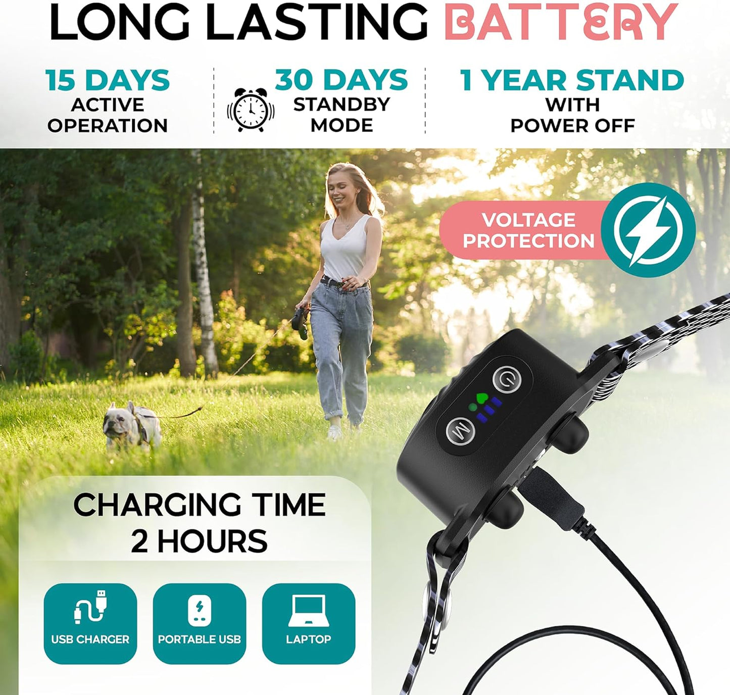 CalmPet Anti-Bell Halsband – Komfortabel und Stressfrei