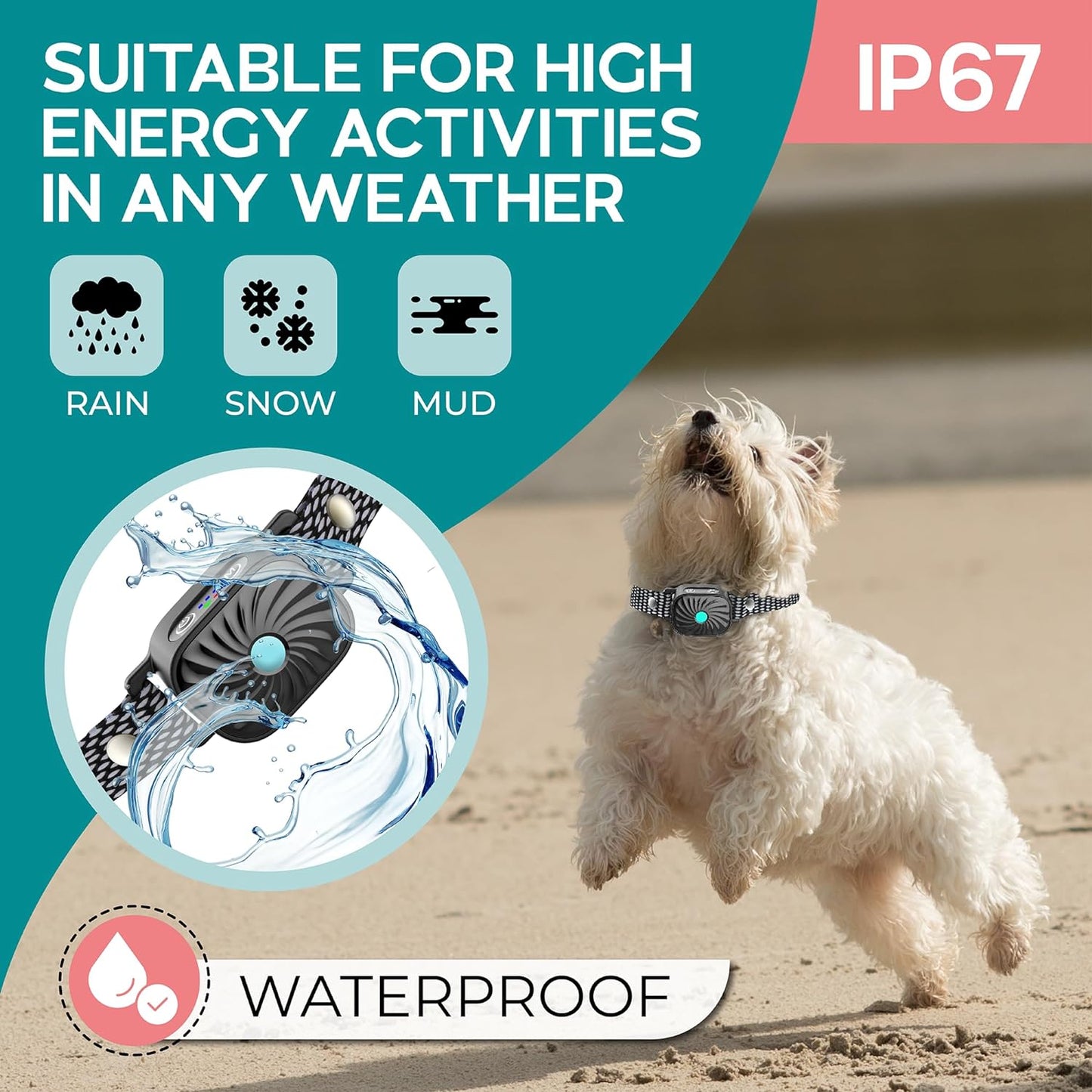 CalmPet Anti-Bell Halsband – Komfortabel und Stressfrei