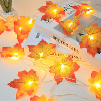 1.5M - 10LED
