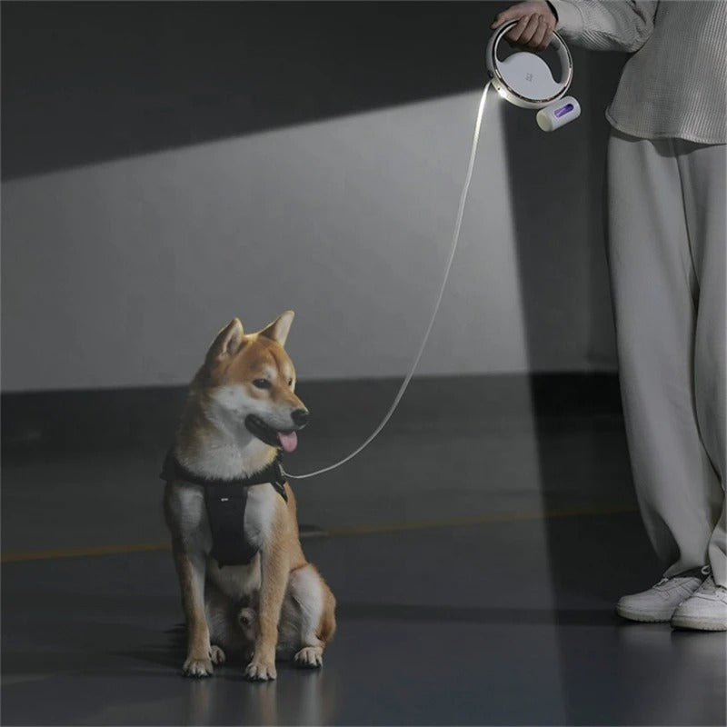 LED Automatische Hundeleine – Ergonomischer Griff & Sicherheitslicht