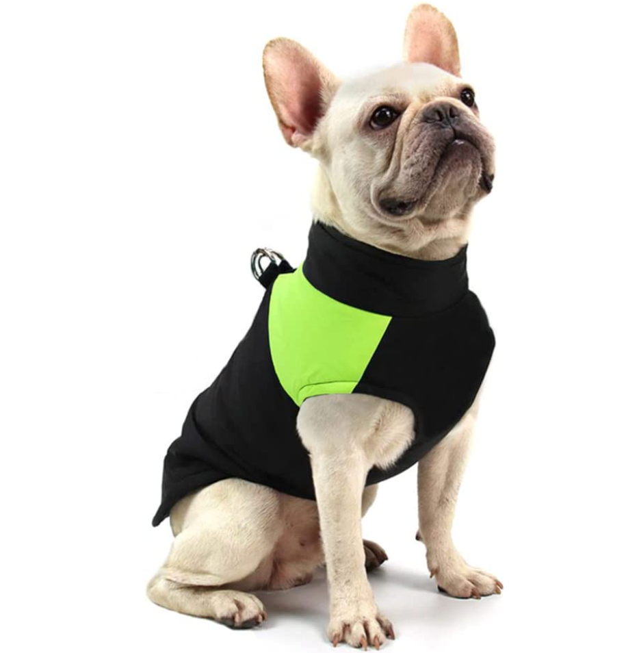 LunaPaws Hundejacke - Warm & Wasserdicht
