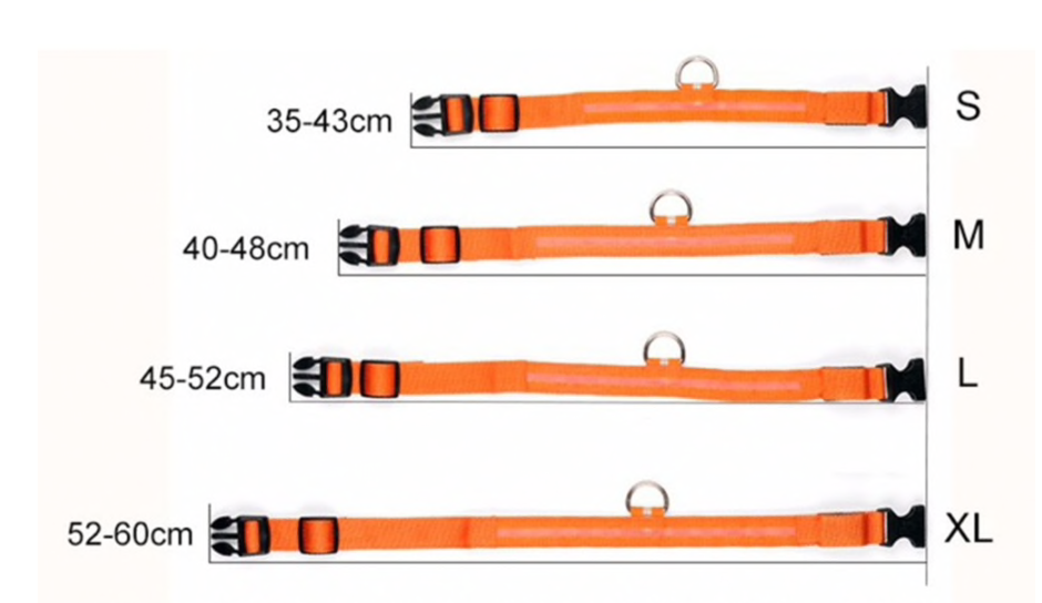 HundSicher Pro – LED-Halsband für Hunde – Fühle dich sicher und stilvoll beim Spaziergang