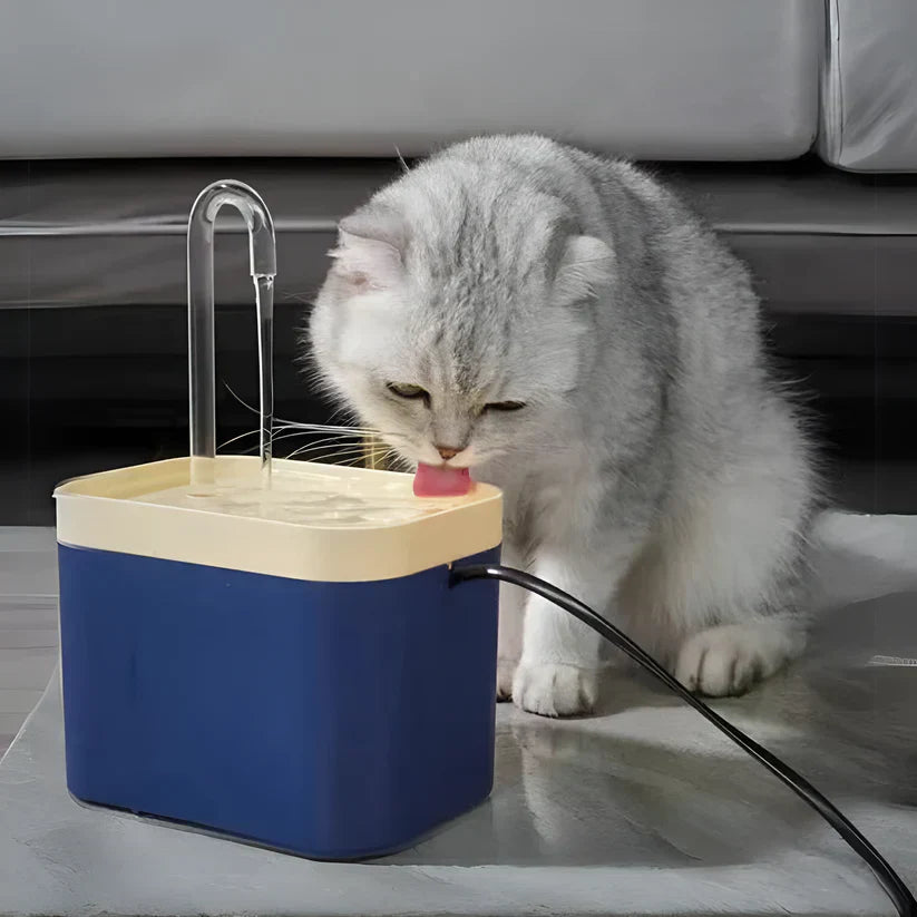 AquaPurr Wasserbrunnen – Für gesunde Hydratation deines Katers