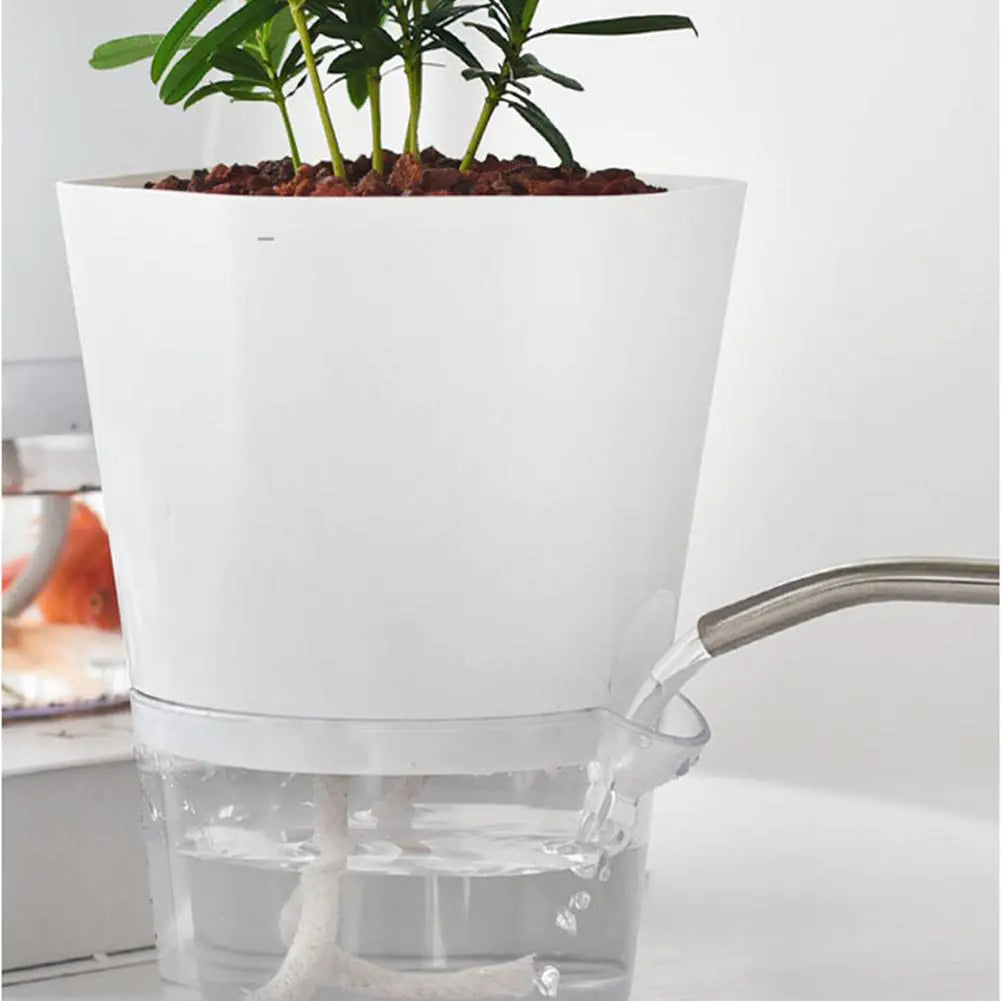 PlantTank - Smarter Blumentopf und Mini-Aquarium in Einem