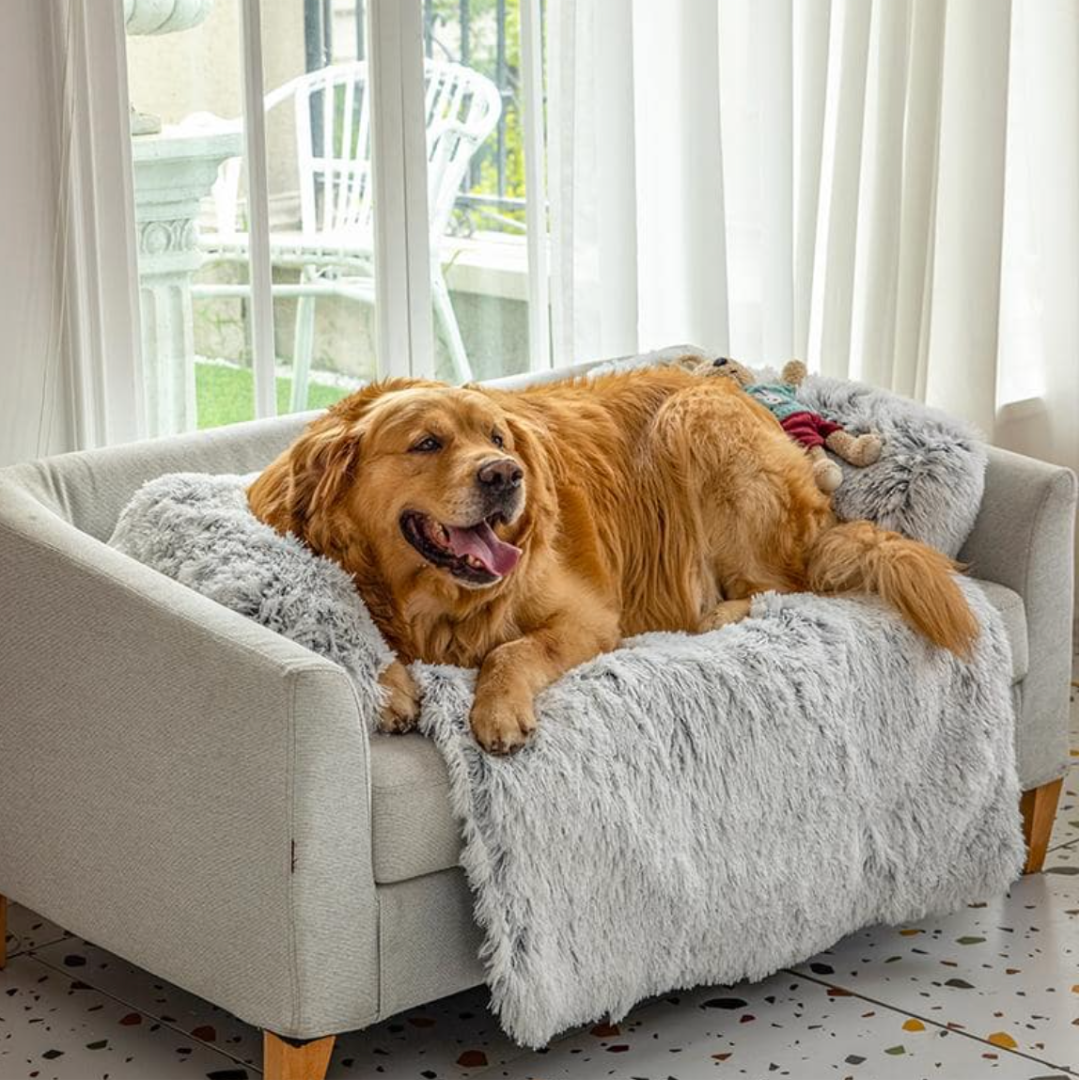 HundComfort Deluxe Decke – Luxus & Schutz für deine Möbel