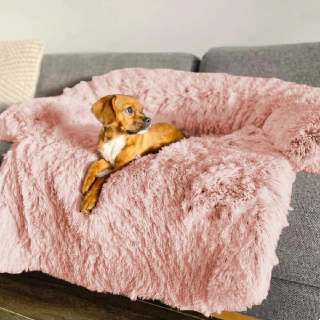 HundComfort Deluxe Decke – Luxus & Schutz für deine Möbel