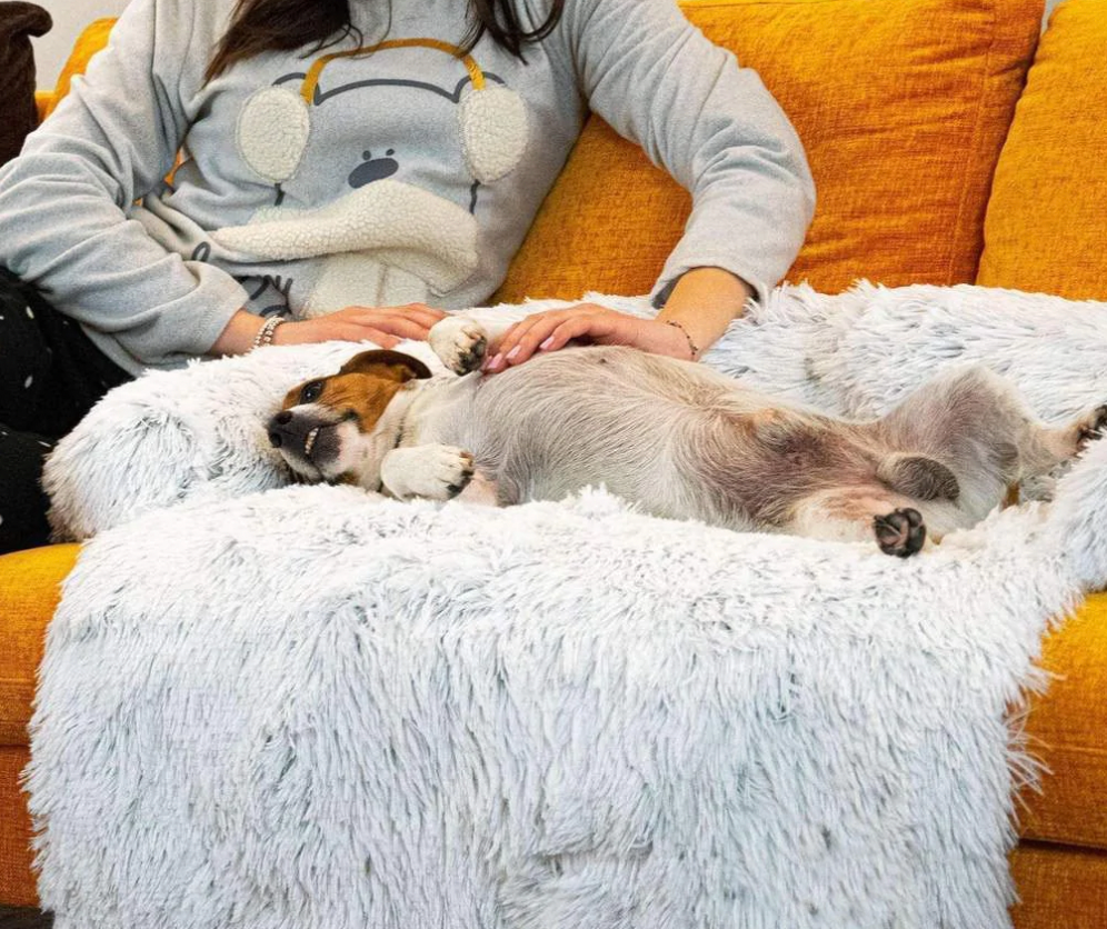 HundComfort Deluxe Decke – Luxus & Schutz für deine Möbel