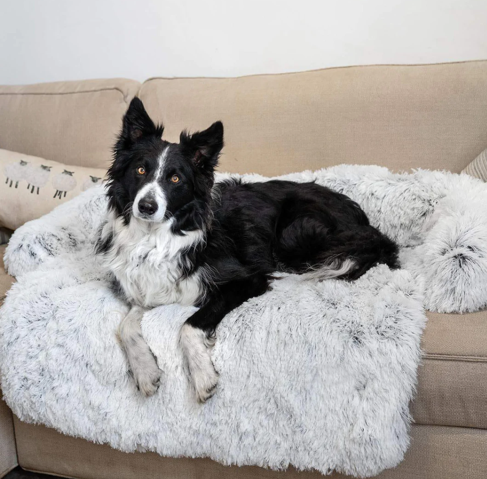 HundComfort Deluxe Decke – Luxus & Schutz für deine Möbel
