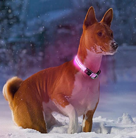 HundSicher Pro – LED-Halsband für Hunde – Fühle dich sicher und stilvoll beim Spaziergang