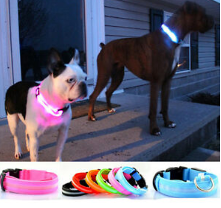 HundSicher Pro – LED-Halsband für Hunde – Fühle dich sicher und stilvoll beim Spaziergang