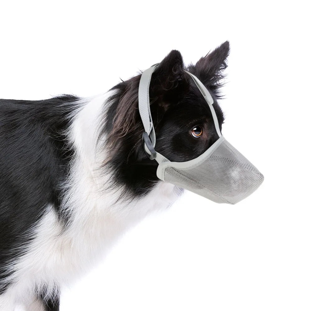 AirMesh Maulkorb – Weich und Bequem für Hunde
