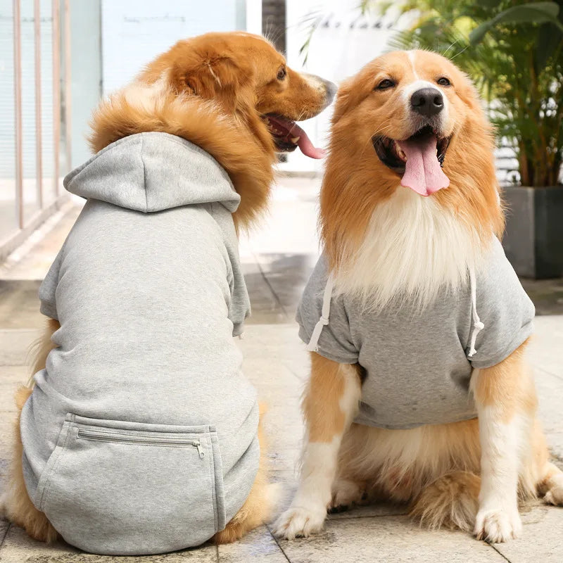 Buddy Hundehoodie – Für einen trendigen Look