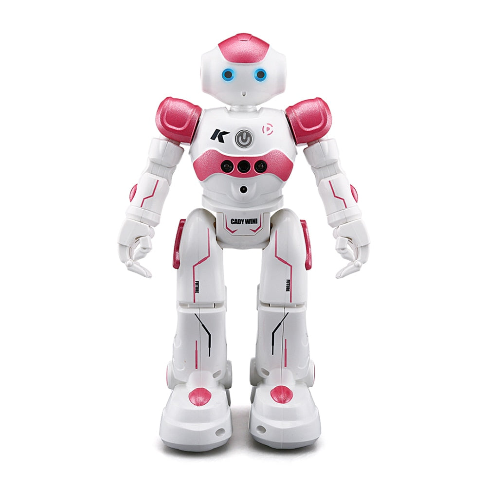 Interaktiver Roboter mit Gestensteuerung – Lehrreich und Spaß für Kinder