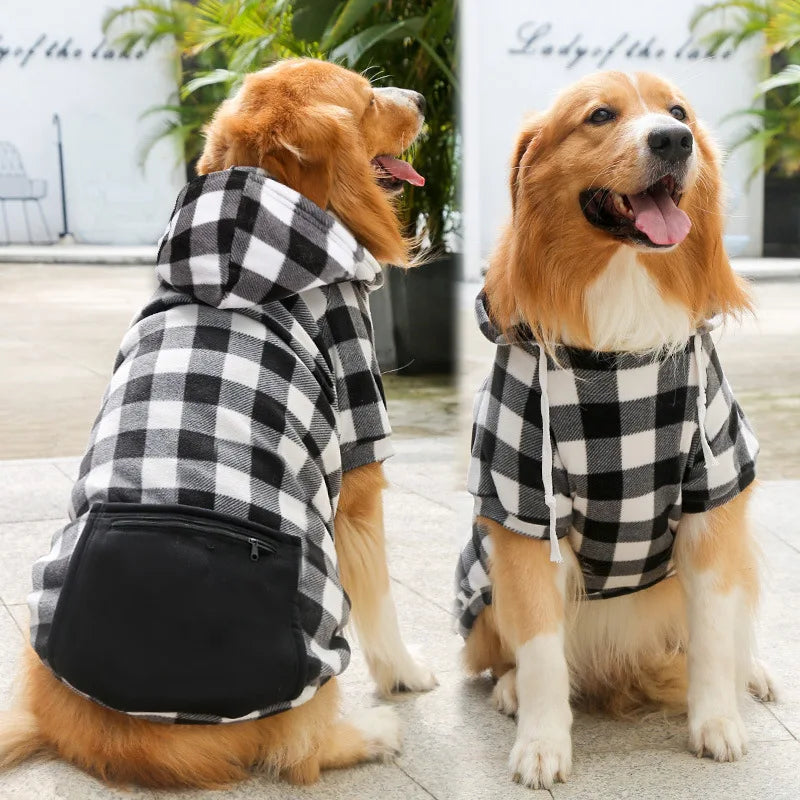 Buddy Hundehoodie – Für einen trendigen Look