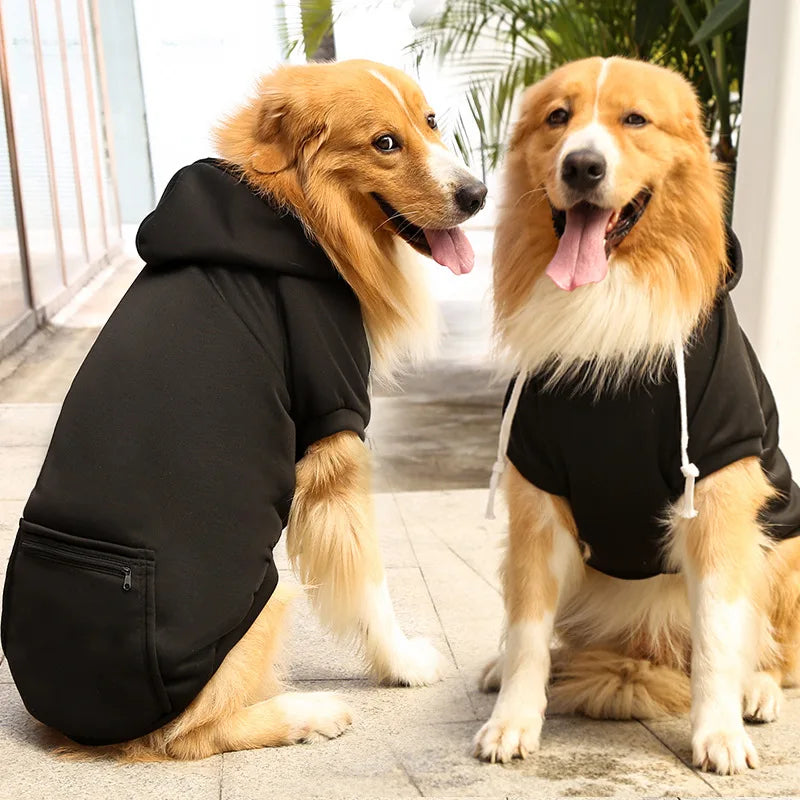 Buddy Hundehoodie – Für einen trendigen Look