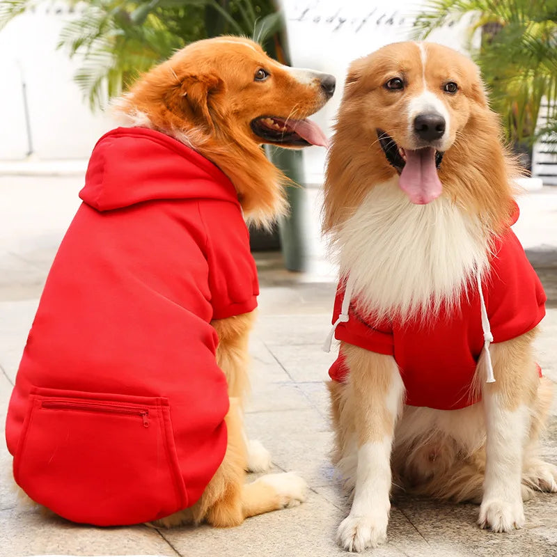 Buddy Hundehoodie – Für einen trendigen Look