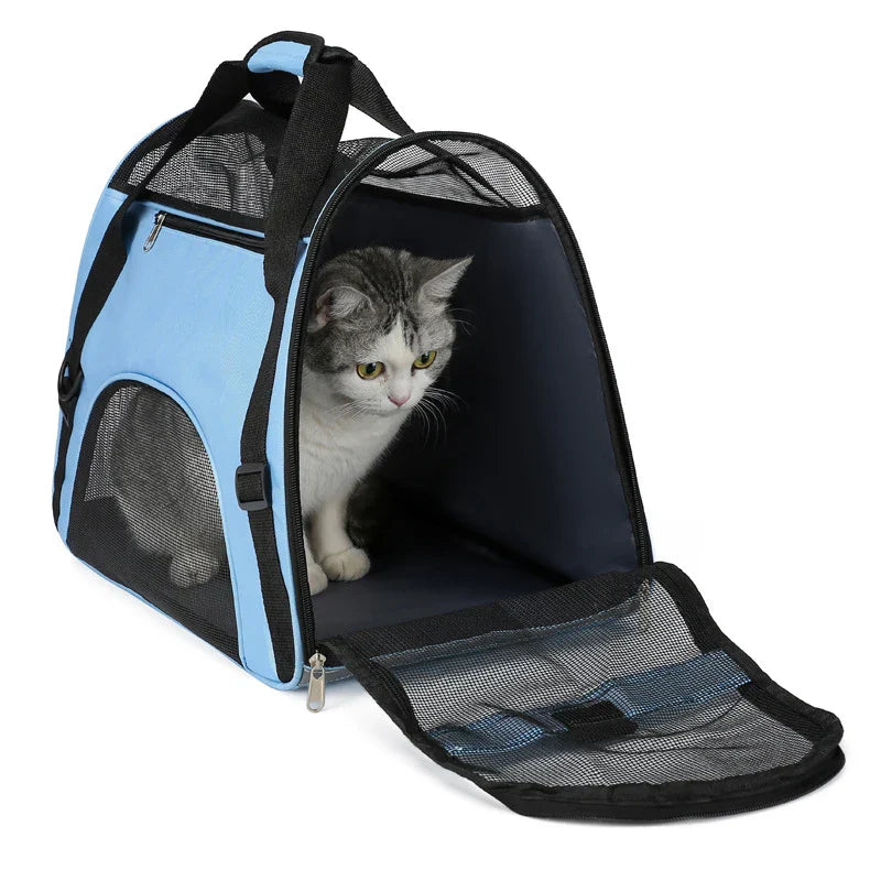 PawVoyager Reisetasche – Komfortabel und Sicher Unterwegs mit Katze oder Kleinem Hund