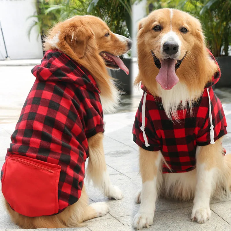 Buddy Hundehoodie – Für einen trendigen Look