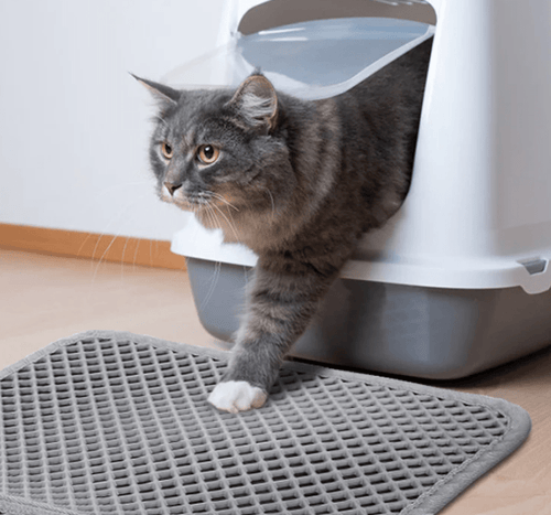 PetPurity Honigwaben Katzenstreumatte