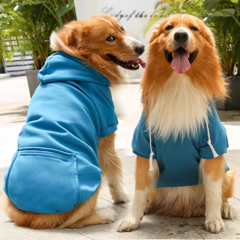 Buddy Hundehoodie – Für einen trendigen Look