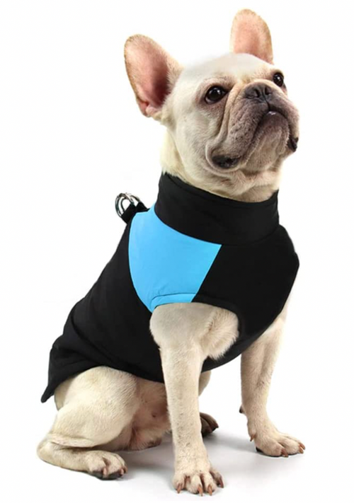 LunaPaws Hundejacke - Warm & Wasserdicht
