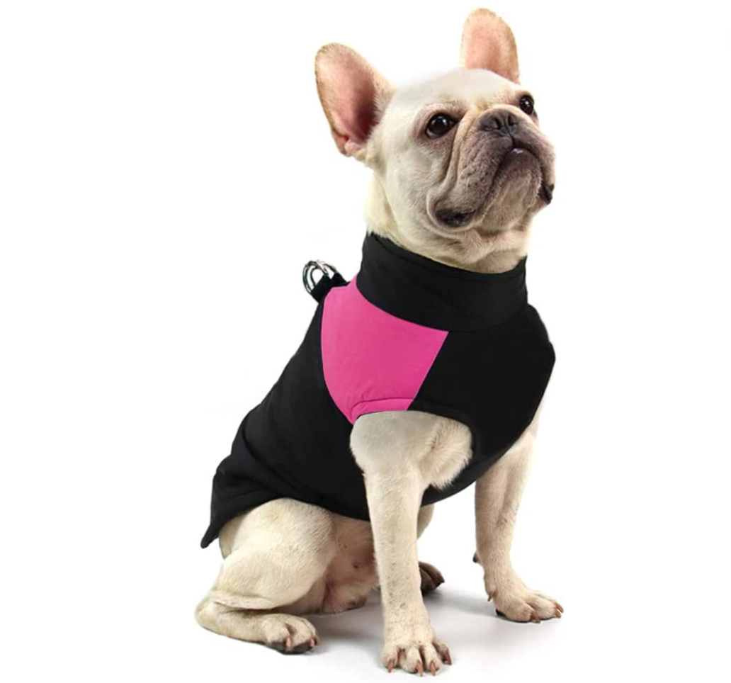 LunaPaws Hundejacke - Warm & Wasserdicht