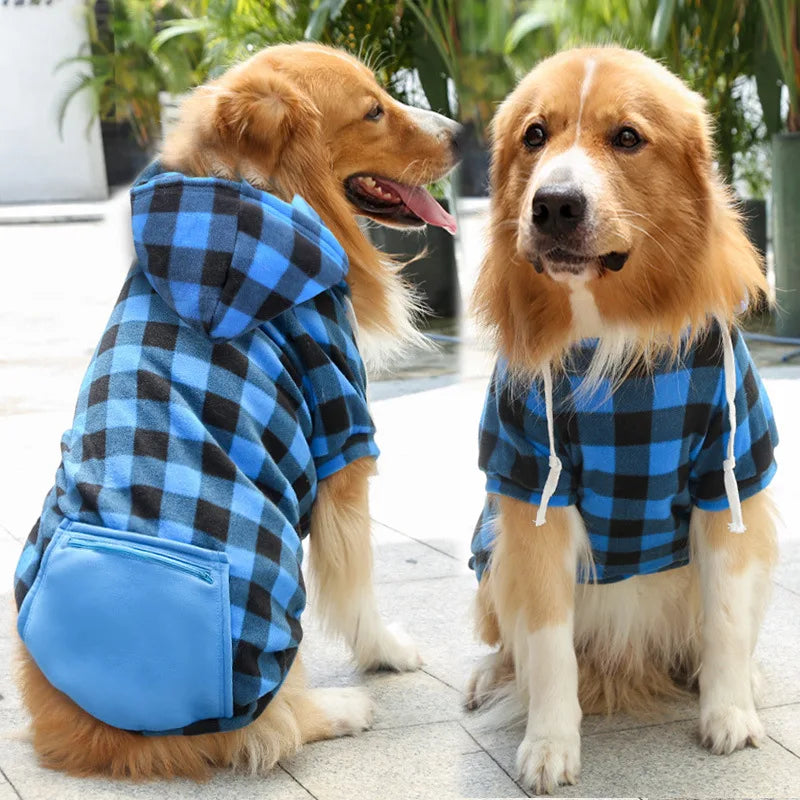 Buddy Hundehoodie – Für einen trendigen Look