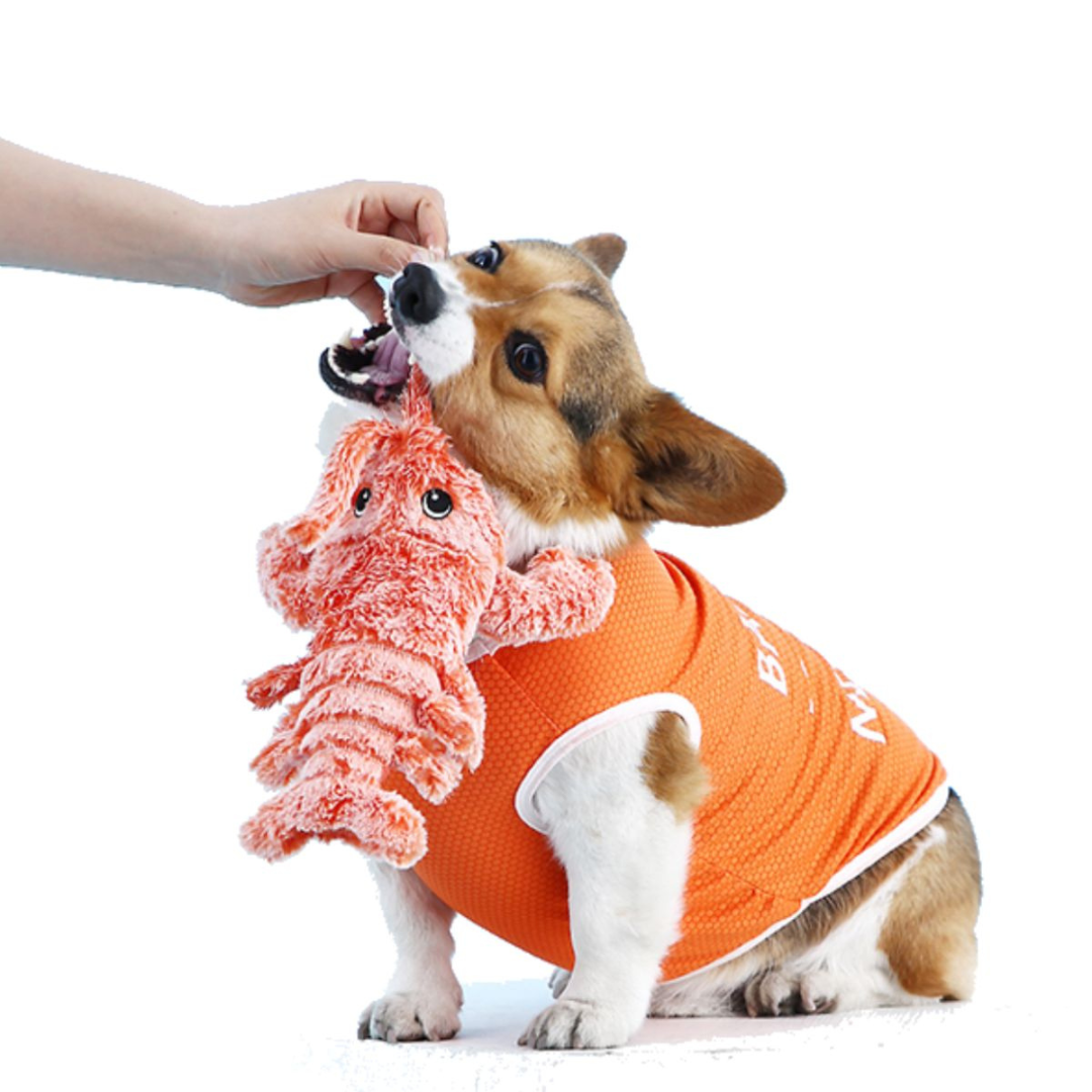 Tanzender Hummer – Interaktives Plüsch-Hundespielzeug mit Bewegungssensor