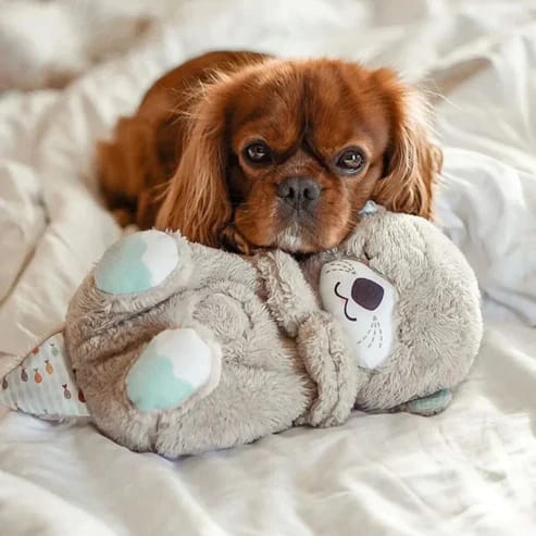 Beruhigendes Otter Kuscheltier