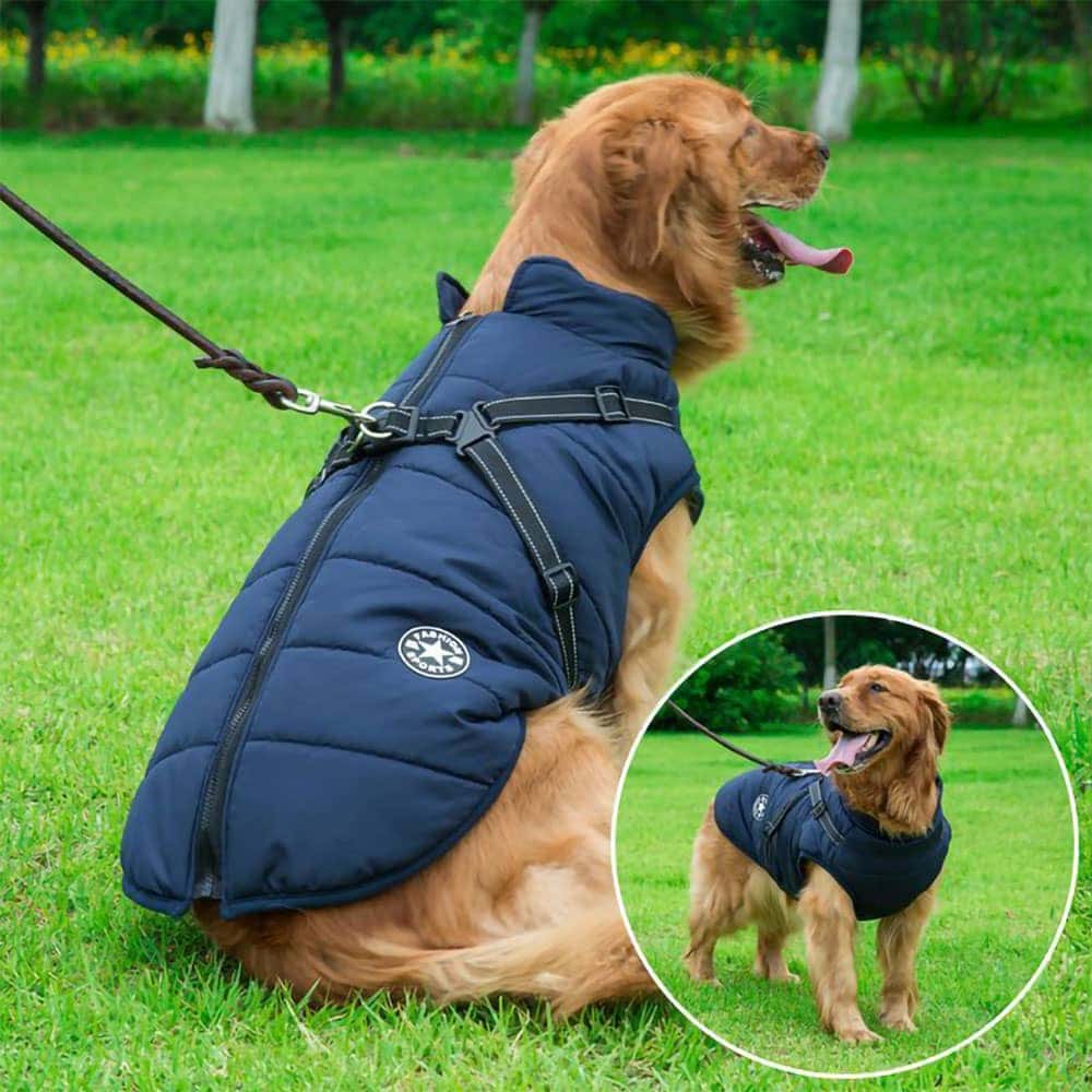 Wasserfeste Hundewinterjacke