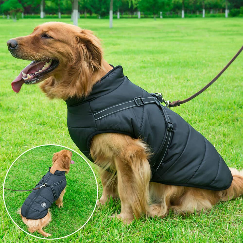 Wasserfeste Hundewinterjacke