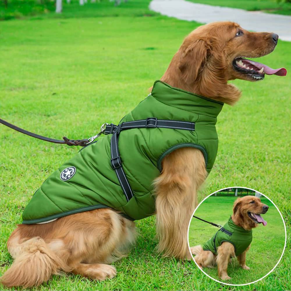 Wasserfeste Hundewinterjacke
