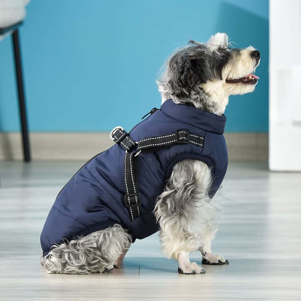 Wasserfeste Hundewinterjacke