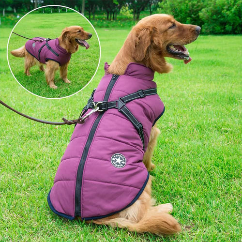 Wasserfeste Hundewinterjacke