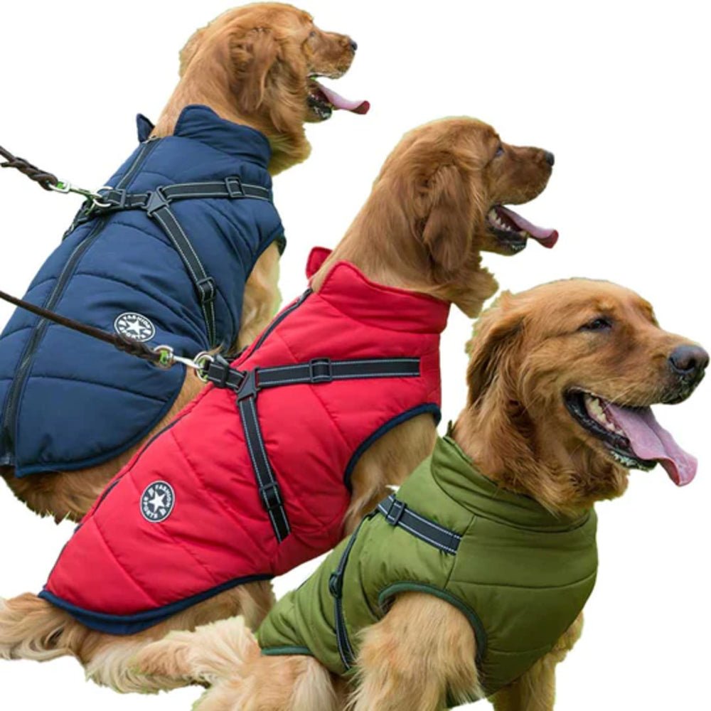 Wasserfeste Hundewinterjacke