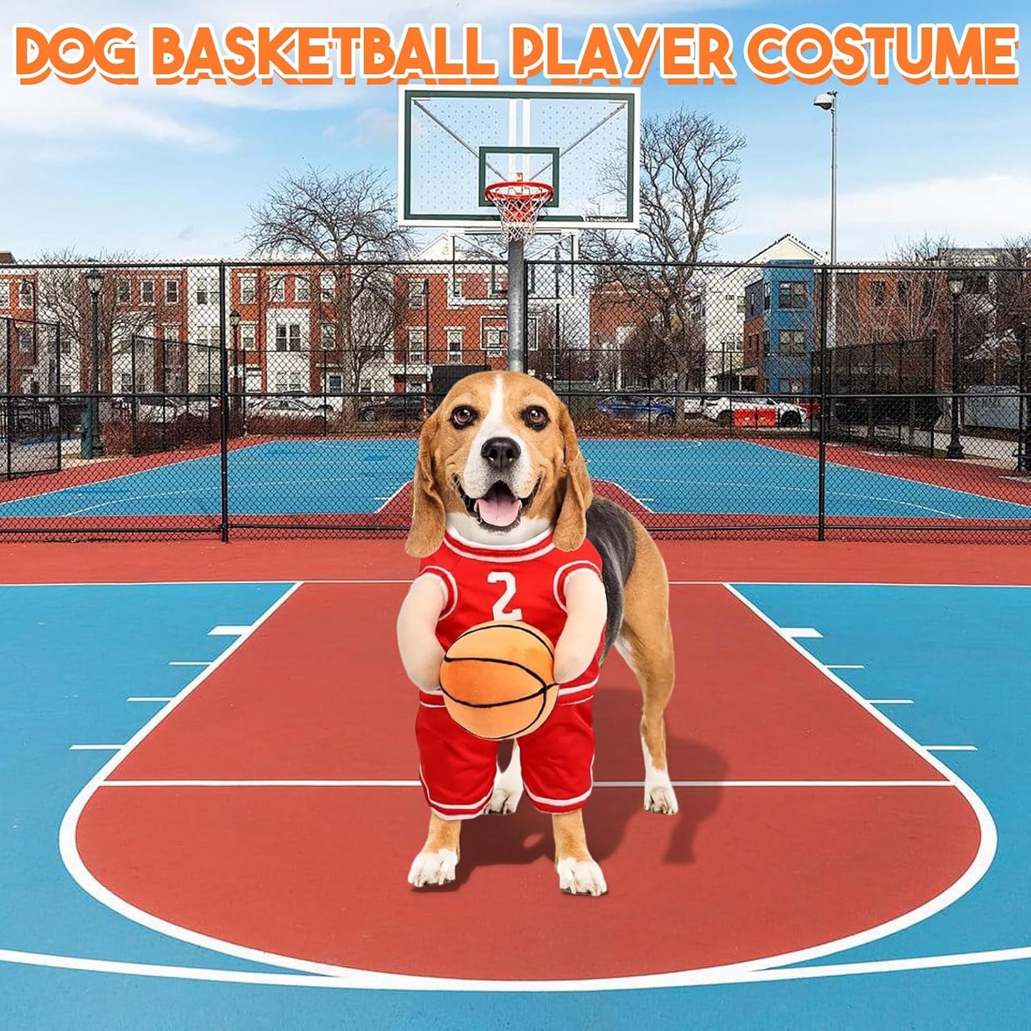 Basketball Hundekostüm – Für süße sportliche Momente