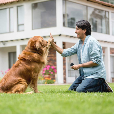 Ultraschall-Hundetrainer – Sicheres Hilfsmittel gegen übermäßiges Bellen