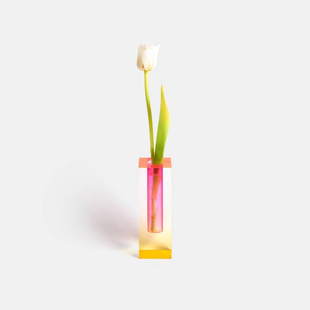 Kaleidoscope Vasen – Bunte Blumenvasen für eine Frische Umgebung