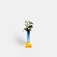 Gelb/blau